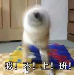 ladym铔嬬硶涓婃捣闂ㄥ簵,ladym缃戠孩铔嬬硶