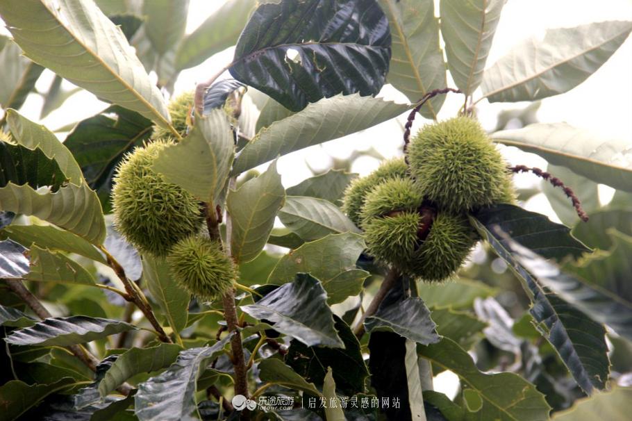 水秀山青下一句,农庄山清水秀的好地方
