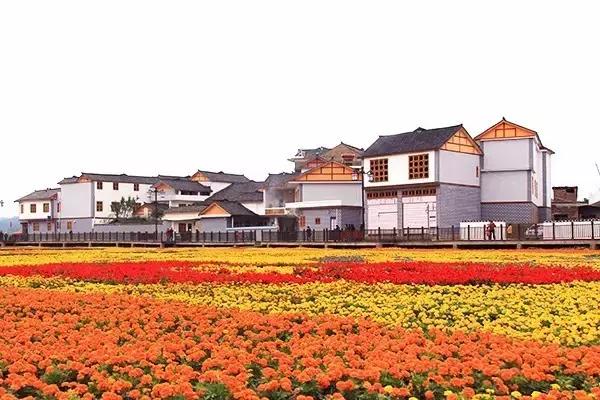 太精辟！一句话形容贵州88区县，看到自己的家乡笑死了！哈哈哈