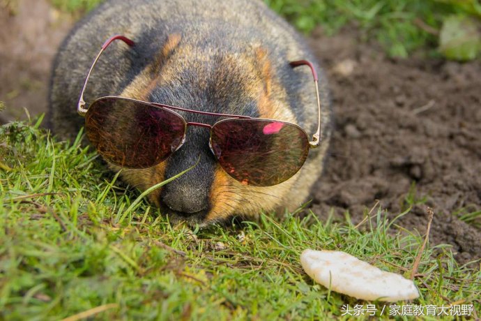 孩子情绪表达夸张,孩子的情绪如何描述