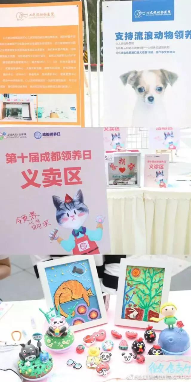 9月9日领养日，免费领养流浪动物，用爱代替伤害！