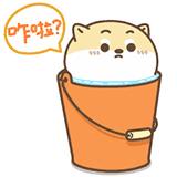 百威黄鹤楼,黄鹤楼百威