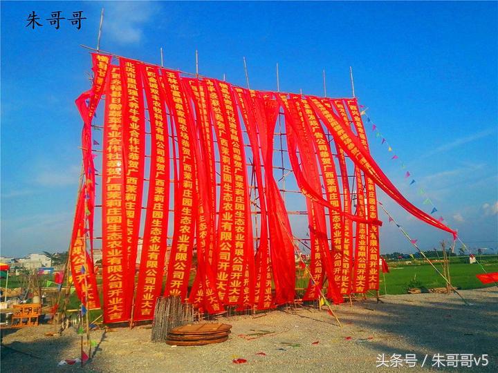 横县校椅镇马毕村茉莉庄园,广西横县茉莉庄园