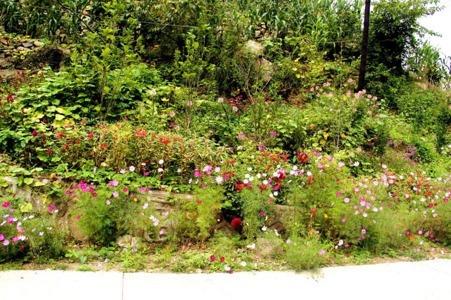 水秀山青下一句,农庄山清水秀的好地方