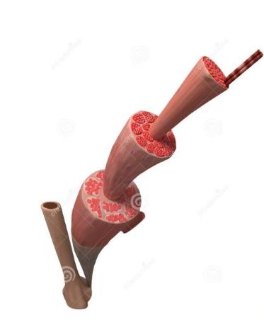 十佳科幻烧脑片为什么烧脑,烧脑科幻电影