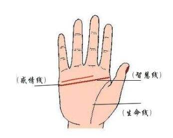 断掌怎么讲解,初学者如何判断断掌