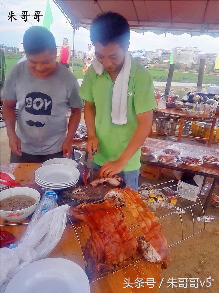 横县校椅镇马毕村茉莉庄园,广西横县茉莉庄园
