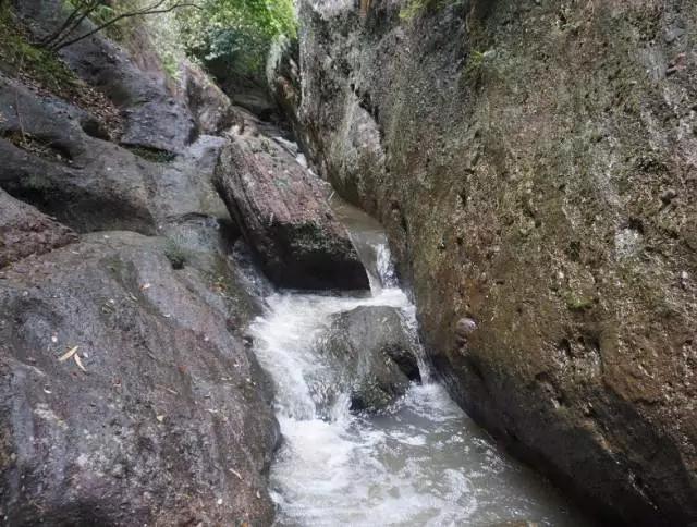 澶╀笅璞℃妫嬪瓙,澶╀笅璞℃妫嬭氨澶у叏