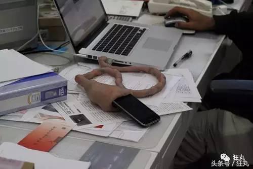 安装在*体下**的手机架？岛国人民的脑洞污到极致