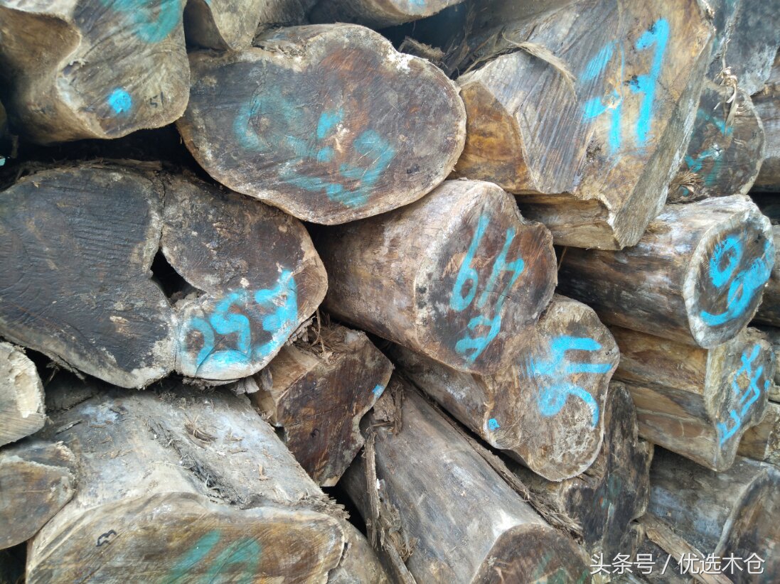 美洲胡桃木和红木家具,木材南美柚木