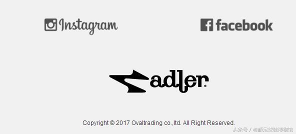 专业的足球鞋有哪几个品牌,曾经的足球鞋知名品牌有哪些