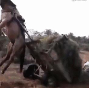 幽默搞笑：没有新欢，也要打扮的美美的