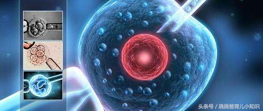 普及试管婴儿知识，需要的夫妻可以收藏！