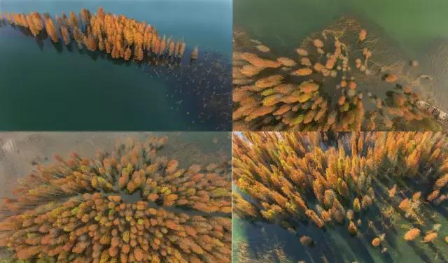 不愧为中山的生态保护区,镜头下的五桂山竟然这么美