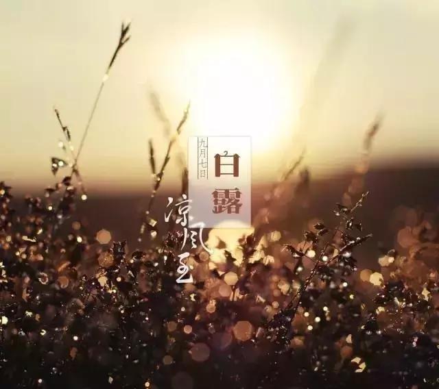 蒹葭苍苍白露为霜天冷莫忘添衣,蒹葭苍苍白露为霜何日归故乡