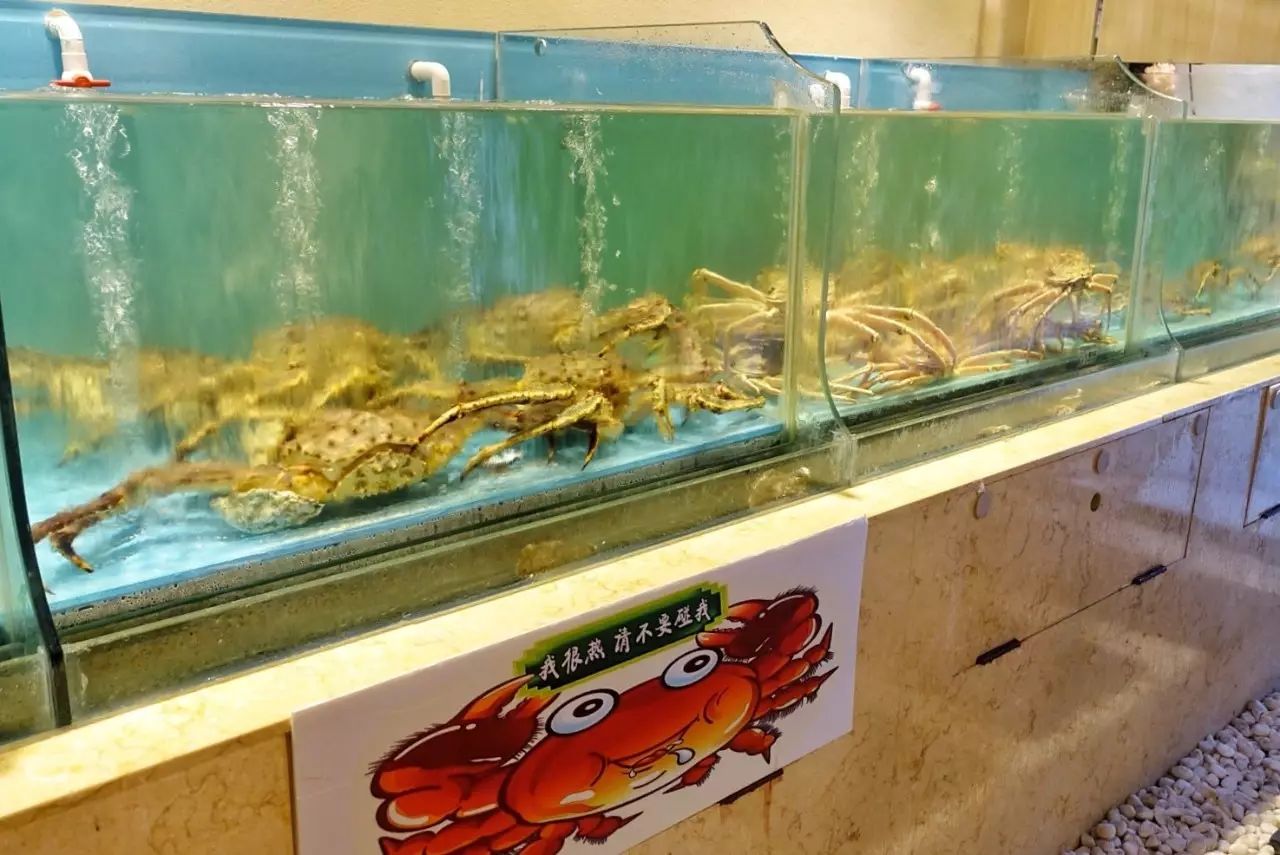 南京最正宗活蟹料理,正宗的日式蟹料理