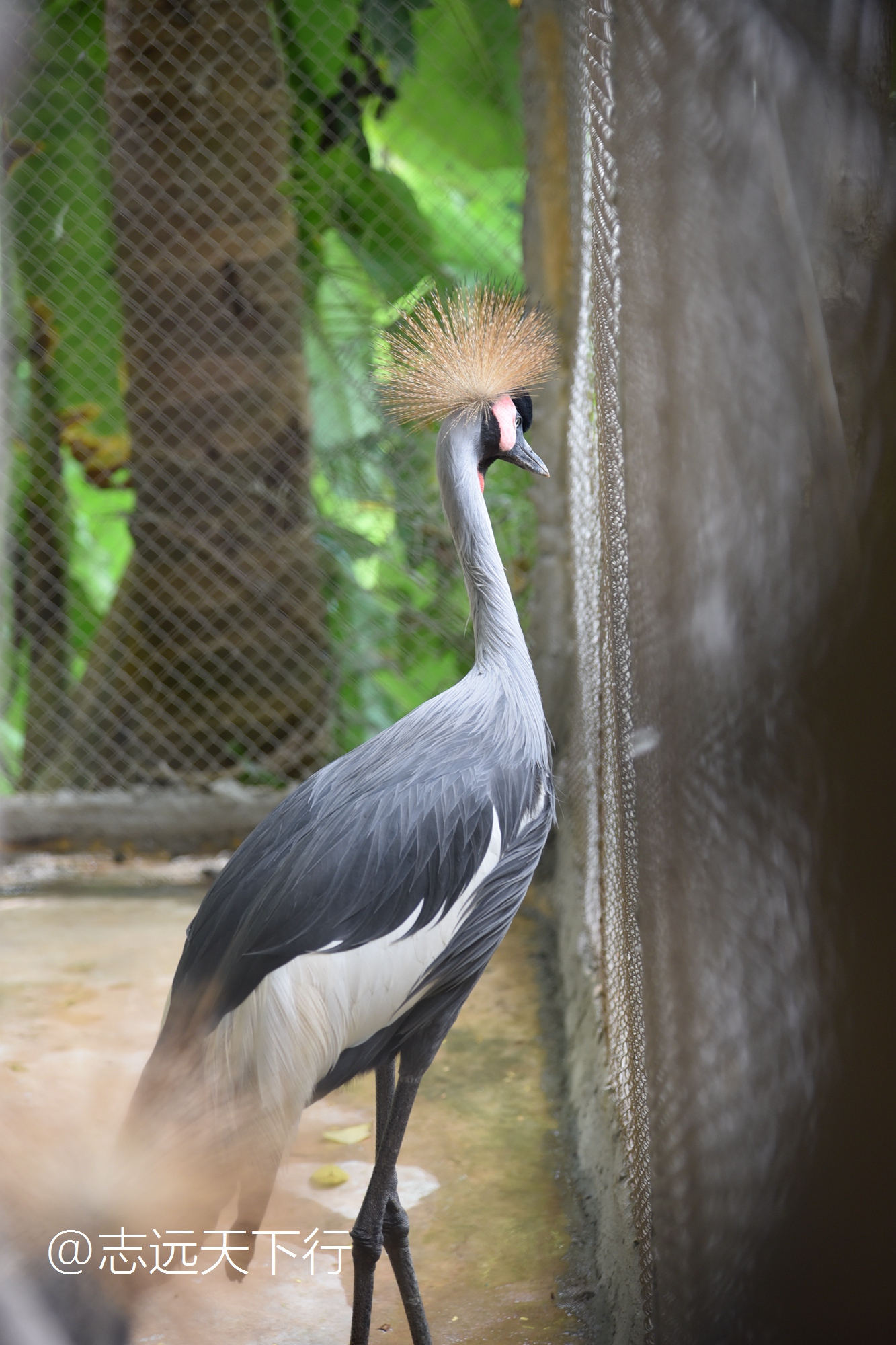 三亚合适小朋友玩的景区,儿童度假旅行三亚