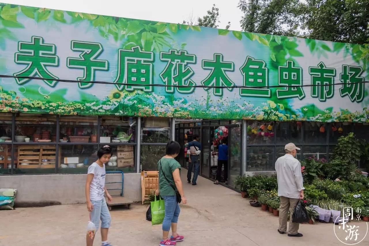 南京的花鸟市场在什么地方,南京夫子庙花鸟鱼虫市场