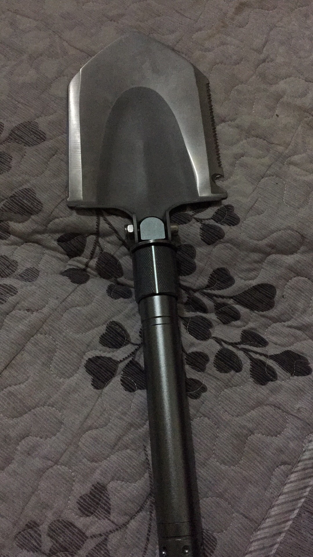 上山挖盆景树桩注意事项,山上挖什么树桩做盆景好呢