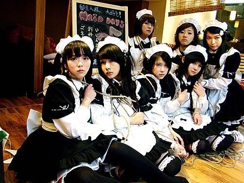 日本秋叶原女仆咖啡店 (秋叶原的女仆咖啡多少日元)