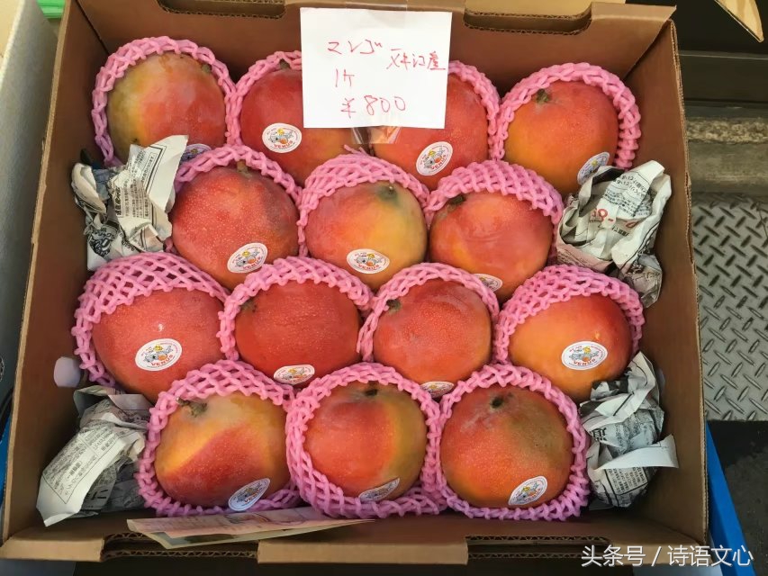 暑假带娃去部队看亲人,带娃去拉练