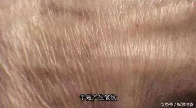 最震撼的纪录片bbc人体的奥秘,人体科普纪录片top10