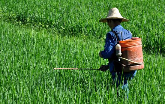 草甘膦概念股继续拉升干货,草甘膦受益龙头一览