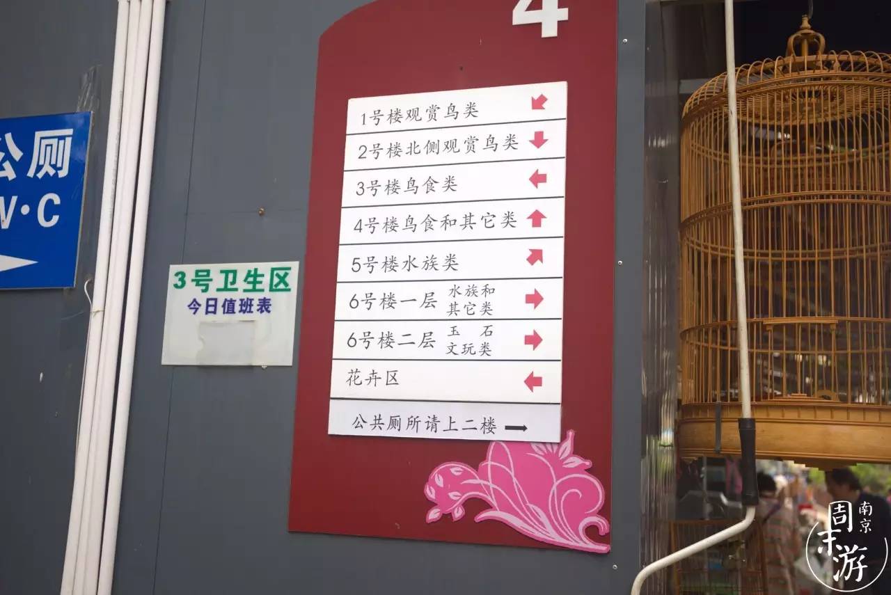 南京有几个花鸟鱼虫市场,南京湿地公园花鸟鱼虫市场在哪里