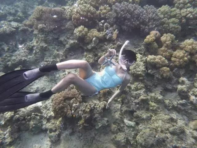 一个让人看了就想脱衣服的海岛，还能与漫天萤火虫共舞……