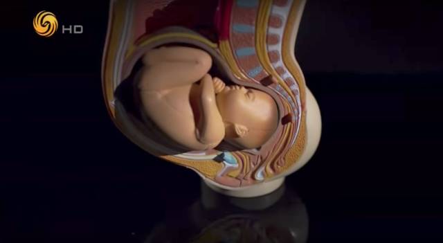 产妇难忍阵痛求剖腹,产妇腹疼难忍