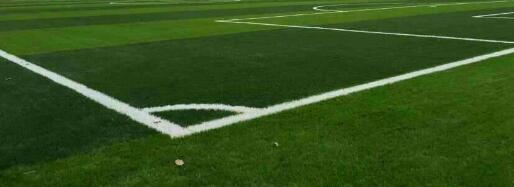 国足亚洲杯出局有希望世界杯吗,国足世界杯出局