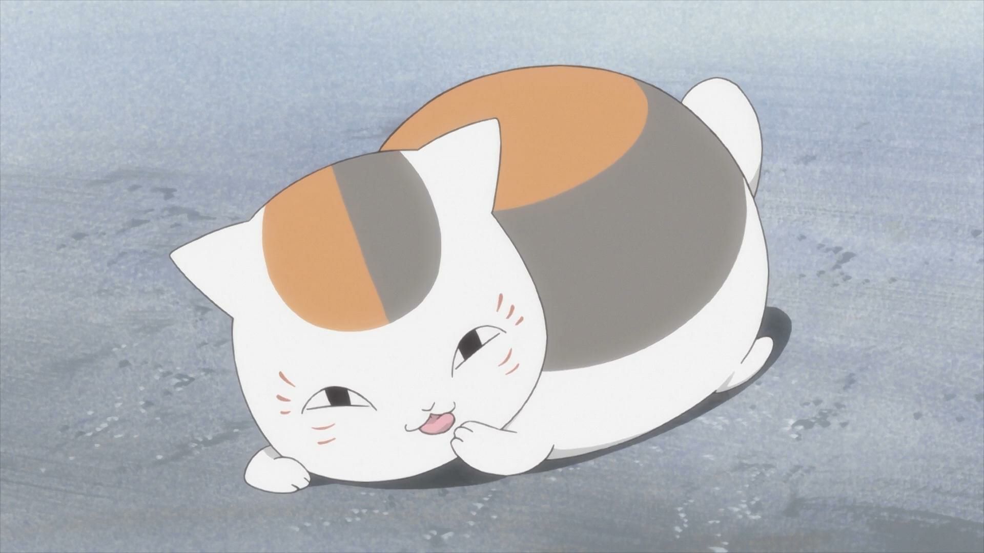 史上最可爱的动漫猫 (熊猫在台湾是不是叫熊猫)