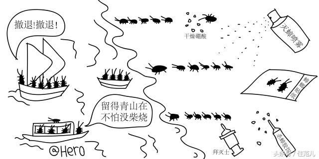 家里有蟑螂教你一招让蟑螂去无踪,蟑螂最怕这3招