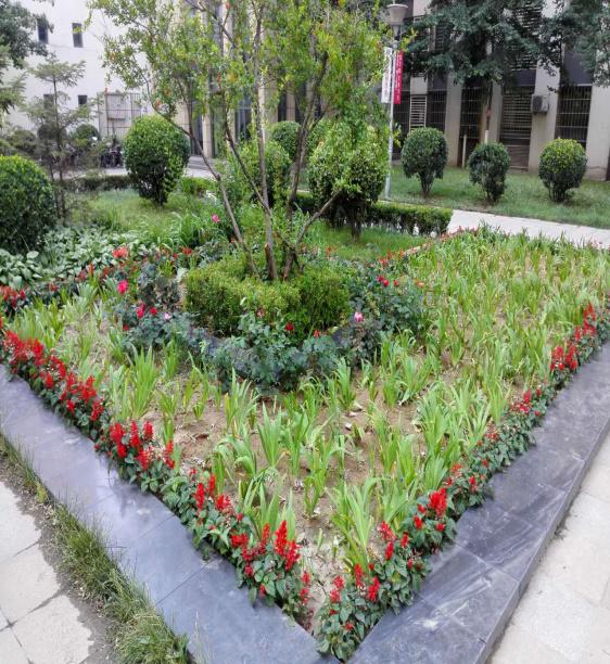 唐山万达物业,唐山万达万象美物业