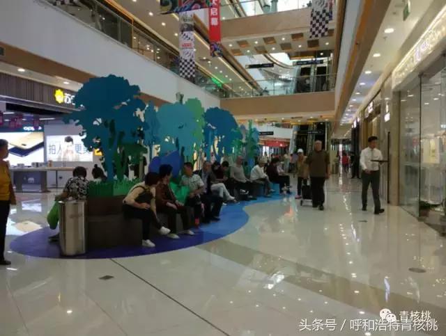 呼和浩特东部大型购物中心,呼和浩特西北购物中心