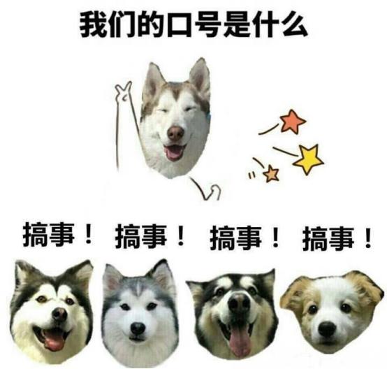 代购真的那么不可靠么,代购靠谱吗有多坑