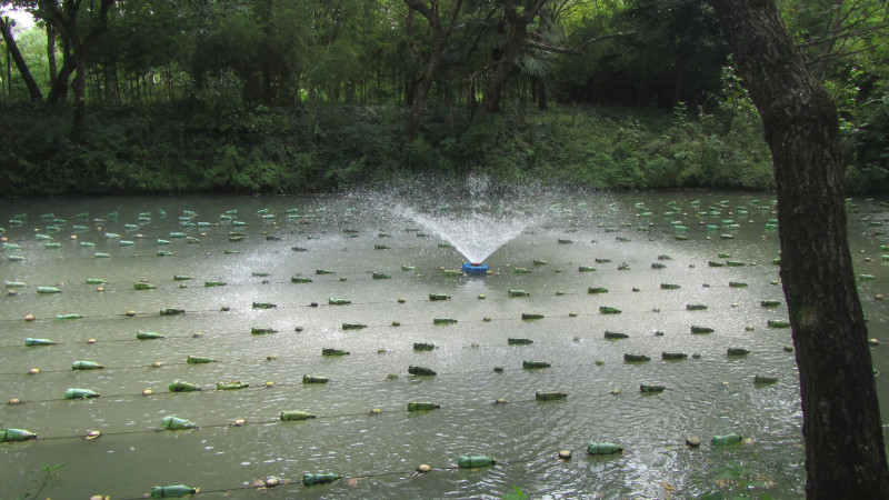 苏州西塘乌镇二日游团从杭州出发,苏州西塘乌镇二日一夜