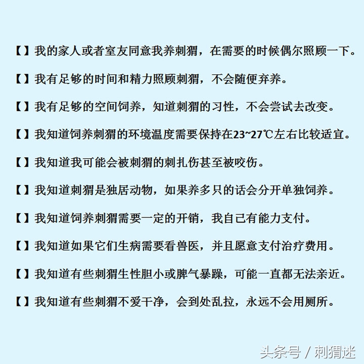 看看你适合养什么宠物小测试,测试一下自己可以养什么宠物