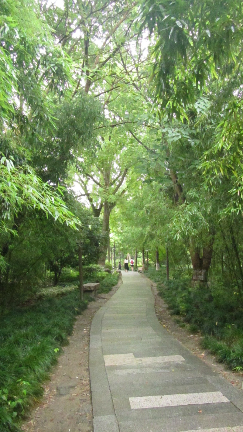 苏州西塘乌镇二日游团从杭州出发,苏州西塘乌镇二日一夜