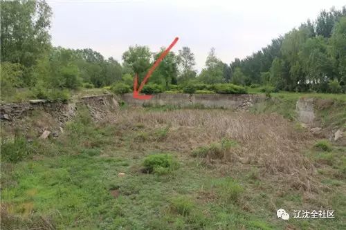 沈阳真人cs基地杀人案,沈阳真人cs基地杀人案判决