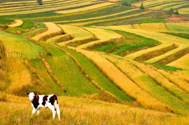 张家口之夜景色真的很美,从来没有见过的张家口美景
