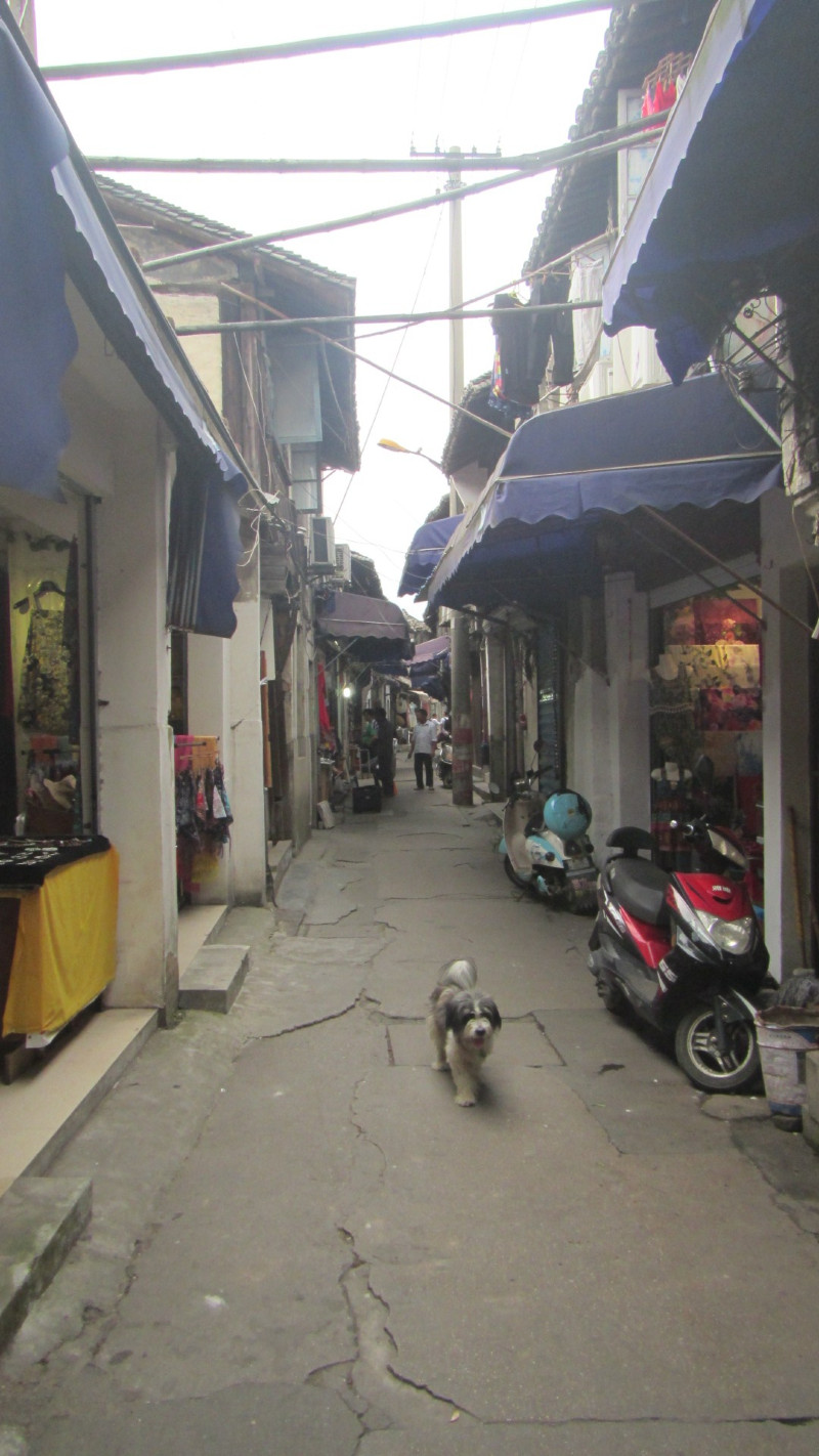 苏州西塘乌镇二日游团从杭州出发,苏州西塘乌镇二日一夜