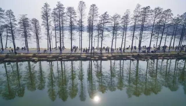 武汉城市观察,省会城市武汉