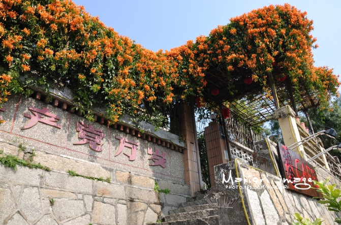 厦门吃喝玩特色,厦门吃喝玩乐烧烤