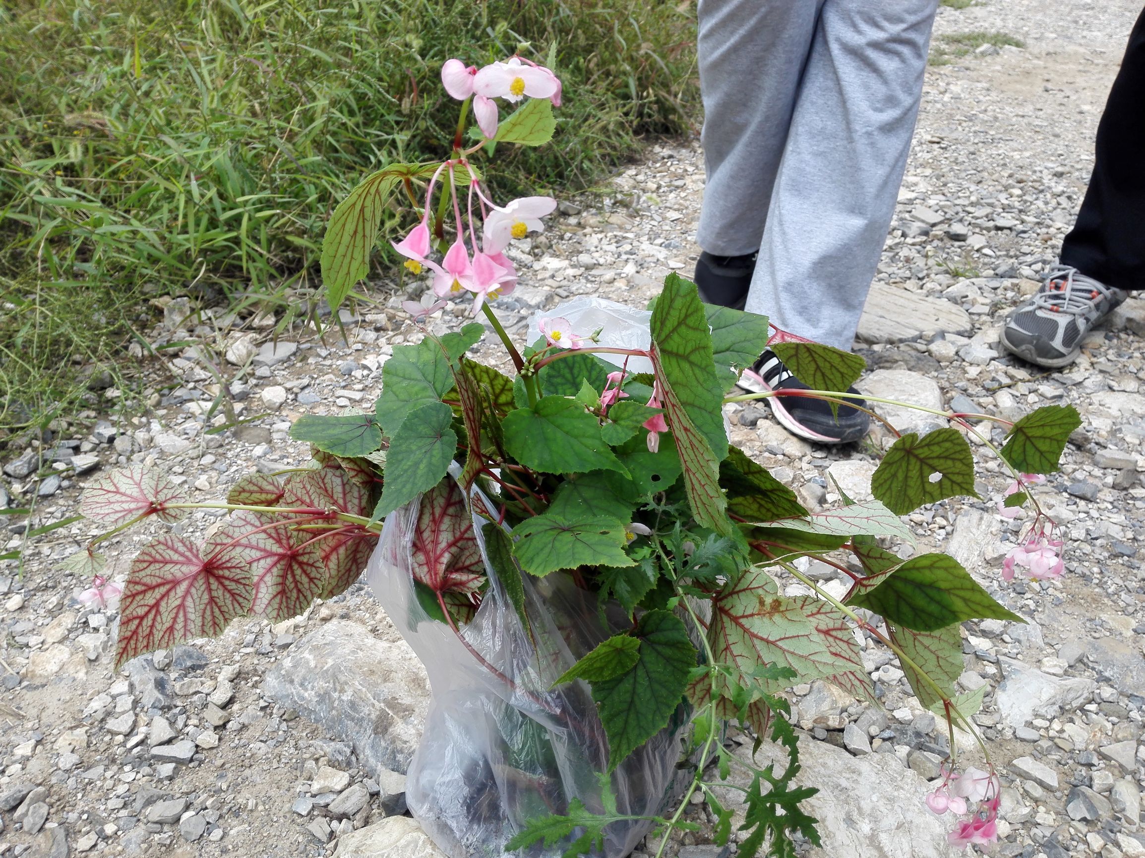 燕京八景之一银山塔林,燕京古八景视频