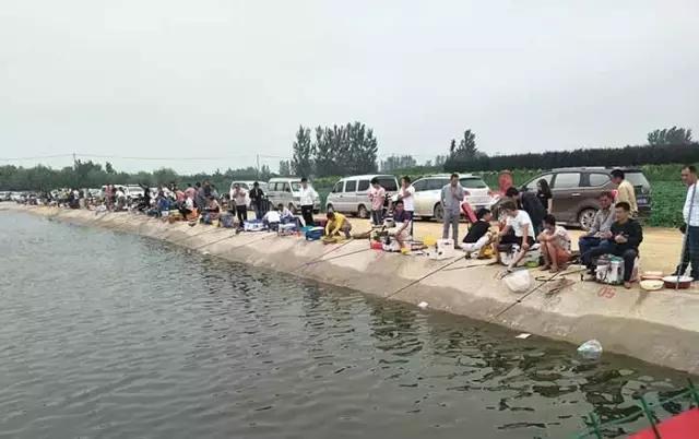 行营钓鱼比赛现场直播,行营钓鱼节