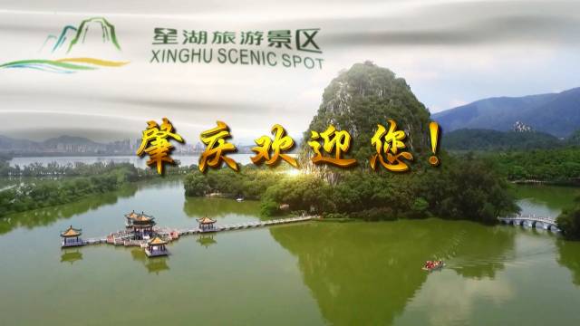 免签落地签骗局,免签电子签落地签怎么区分