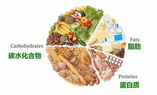 减肥食谱简单方便的表格,减肥瘦身计划食谱