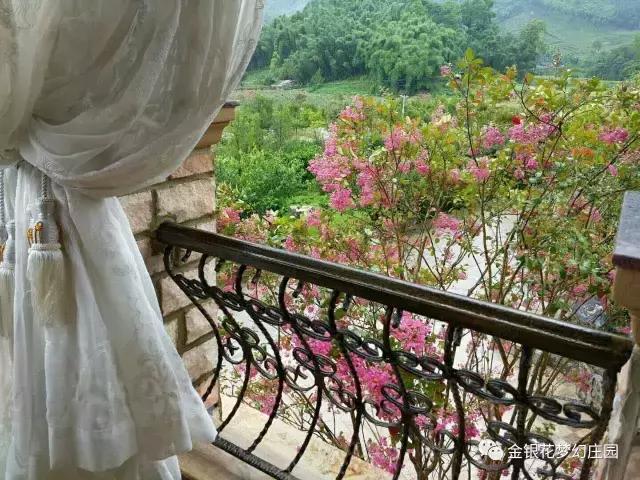 距离成都3个小时的秘境,距离成都8小时以内的景区