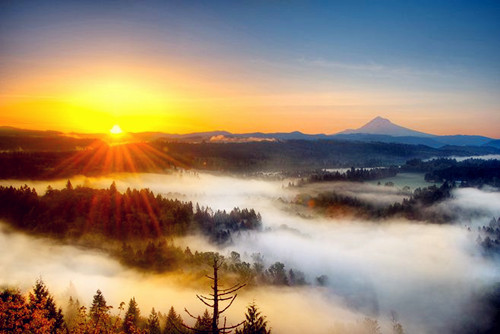 9月16日十二生肖运势老黄历专业版,9月16日十二生肖幸运数字